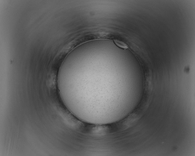 X0000110710274200906261438
