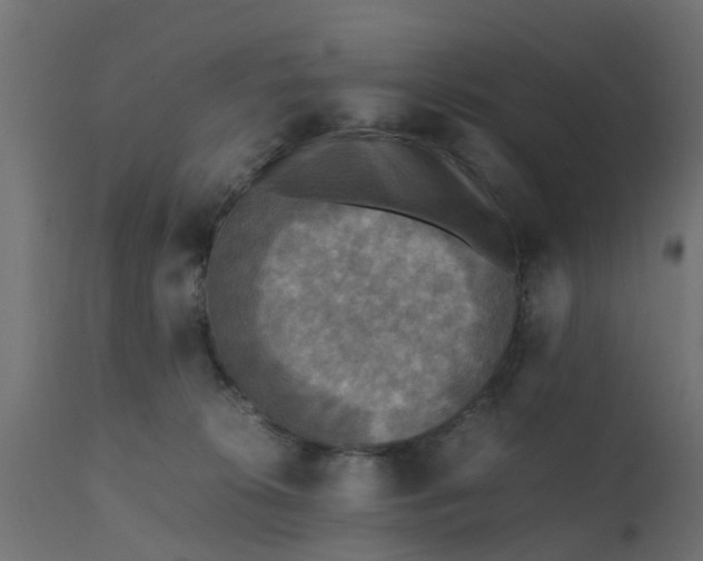 X0000110710276200906261438