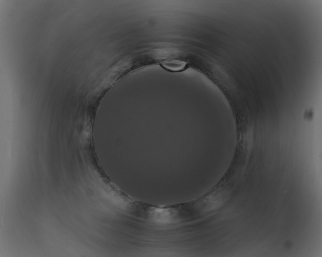 X0000110710277200906261438