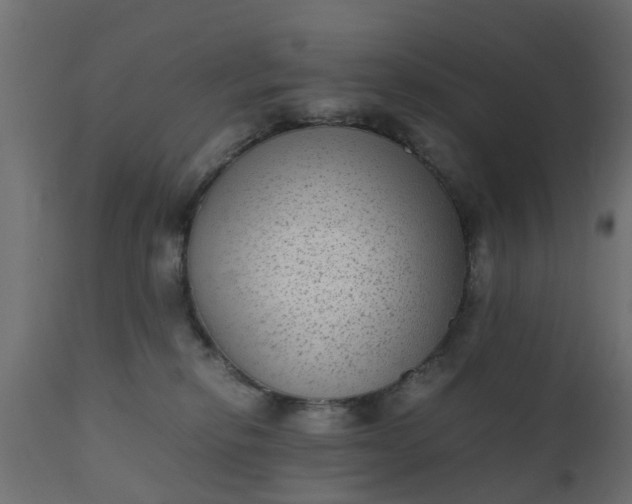 X0000110710278200906261438