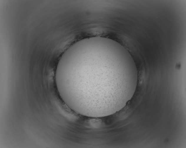 X0000110710279200906261438