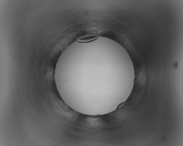 X0000110710283200906261438