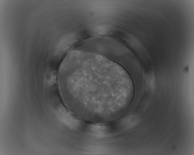 X0000110710284200906261438