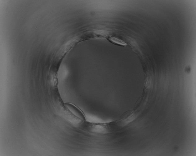 X0000110710285200906261438