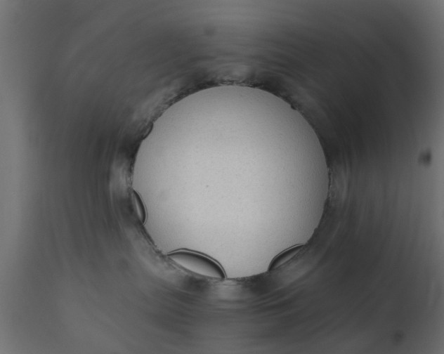 X0000110710287200906261438