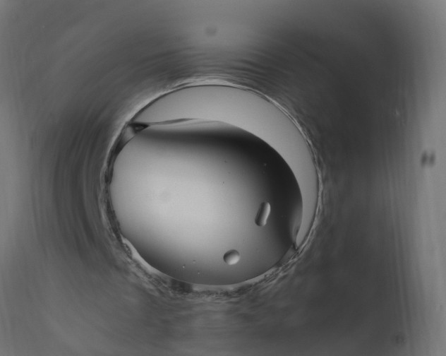 X0000110710289200906261438