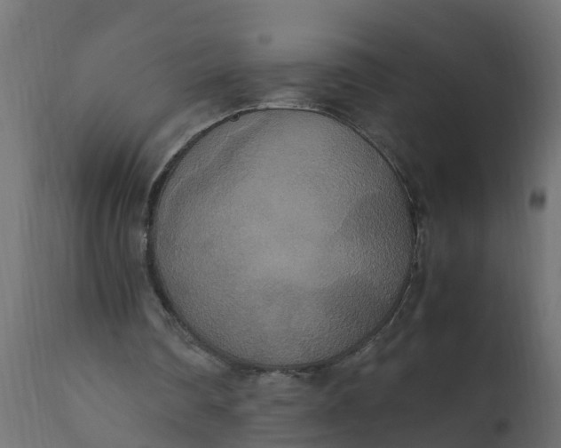 X0000110710290200906261438