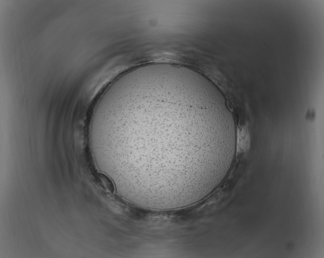 X0000110710291200906261438
