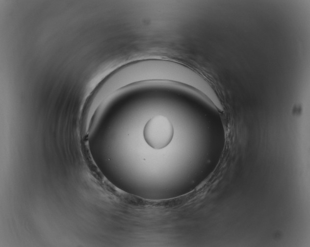 X0000110710292200906261438