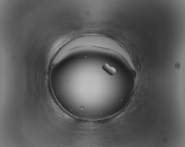 X0000110710293200906261438