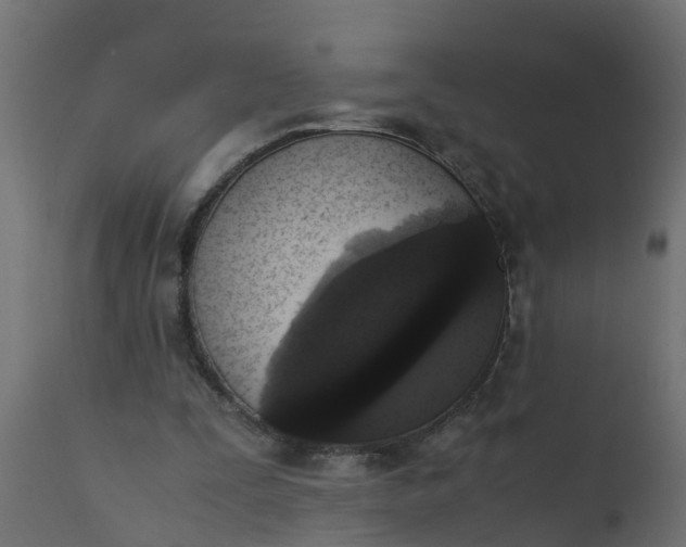 X0000110710295200906261438