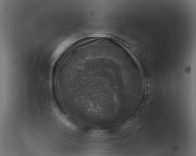 X0000110710296200906261438
