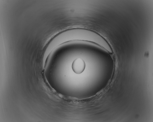 X0000110710297200906261438