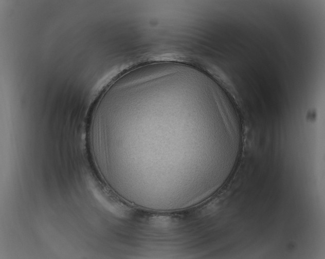 X0000110710298200906261438