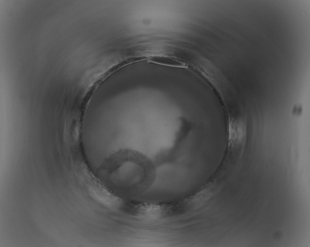 X0000110710301200906261438