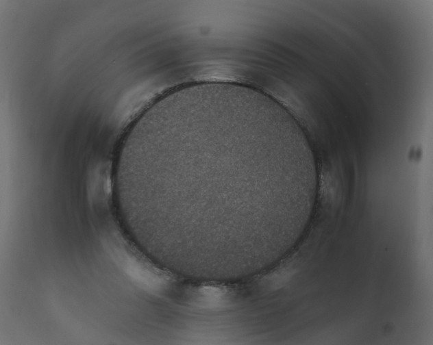X0000110710302200906261438