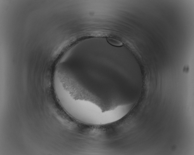 X0000110710303200906261438