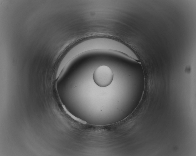 X0000110710304200906261438