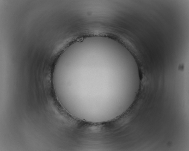 X0000110710306200906261438