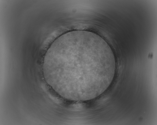 X0000110710307200906261438