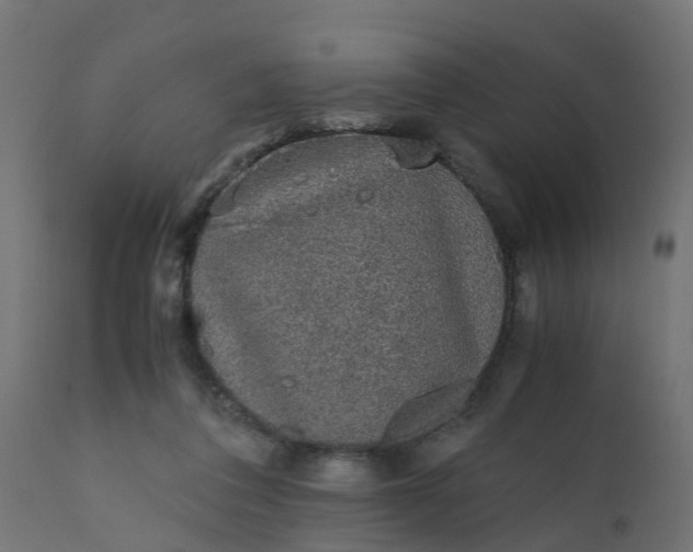 X0000110710308200906261438
