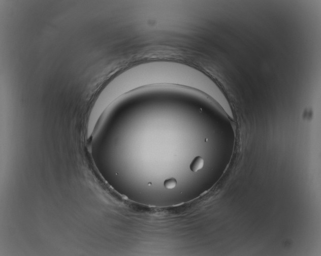 X0000110710309200906261438