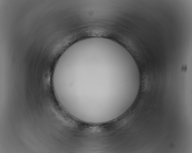 X0000110710310200906261438