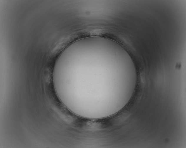X0000110710311200906261438