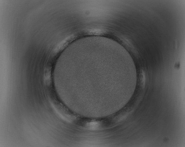 X0000110710312200906261438