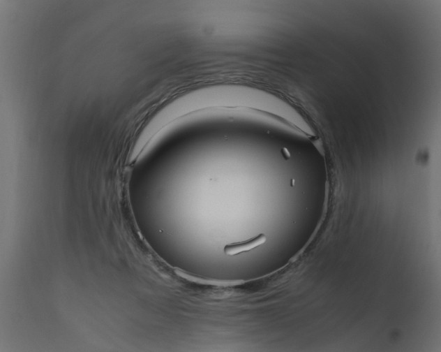 X0000110710313200906261437