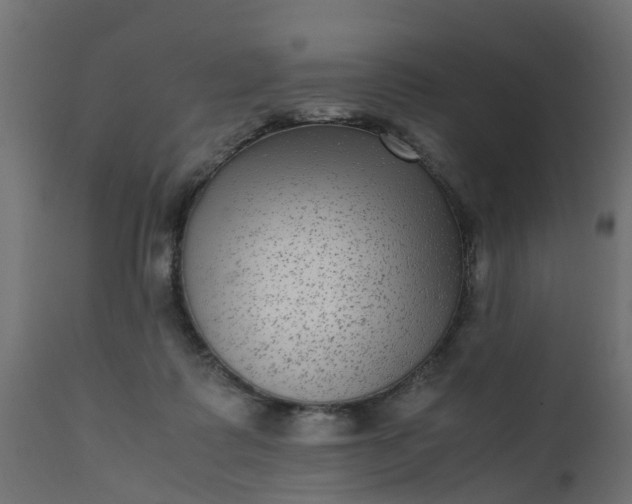 X0000110710315200906261437