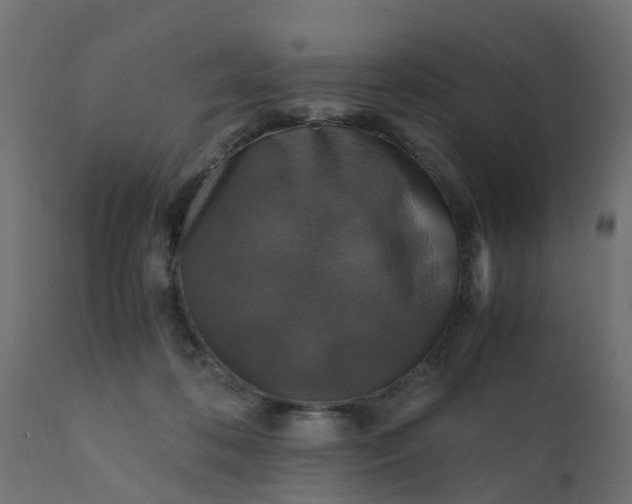 X0000110710316200906261437