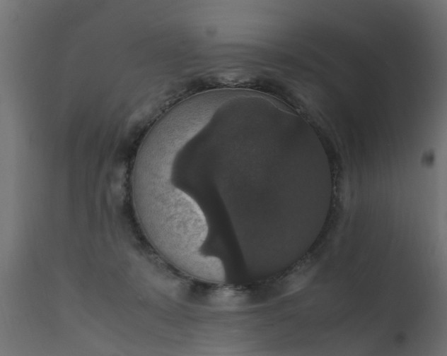 X0000110710319200906261437