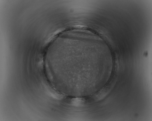 X0000110710320200906261437