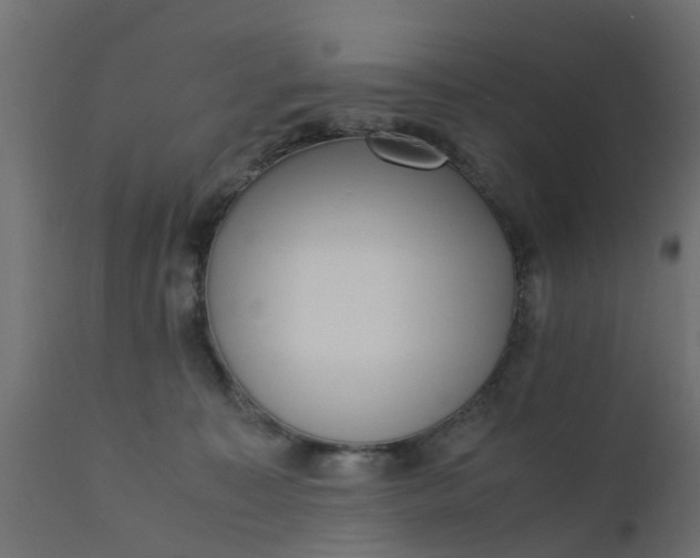 X0000110710323200906261437