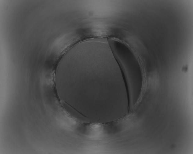 X0000110710325200906261437