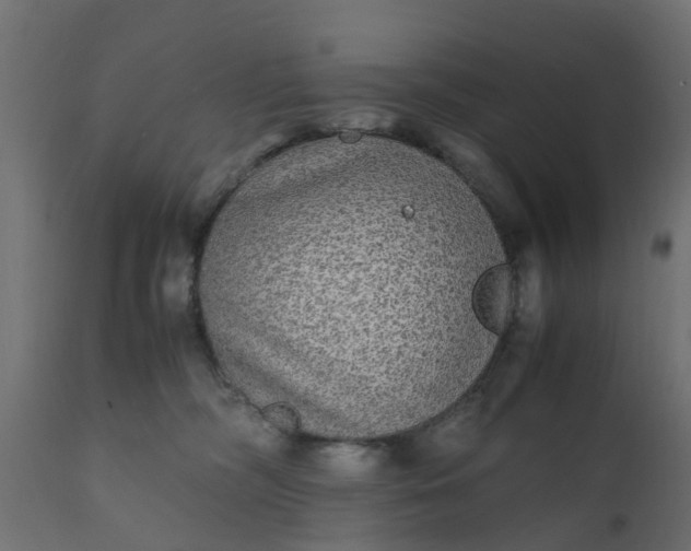 X0000110710326200906261437
