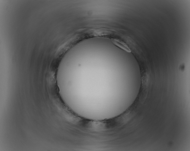 X0000110710327200906261437