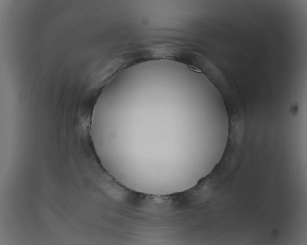 X0000110710329200906261437