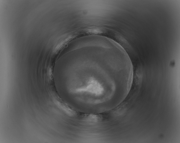X0000110710330200906261437