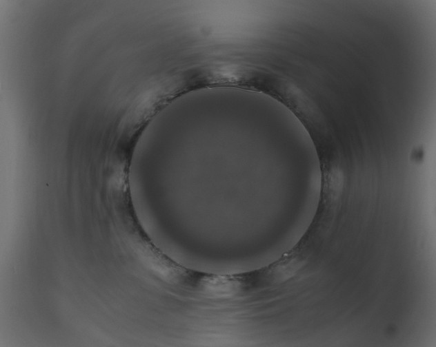 X0000110710331200906261437