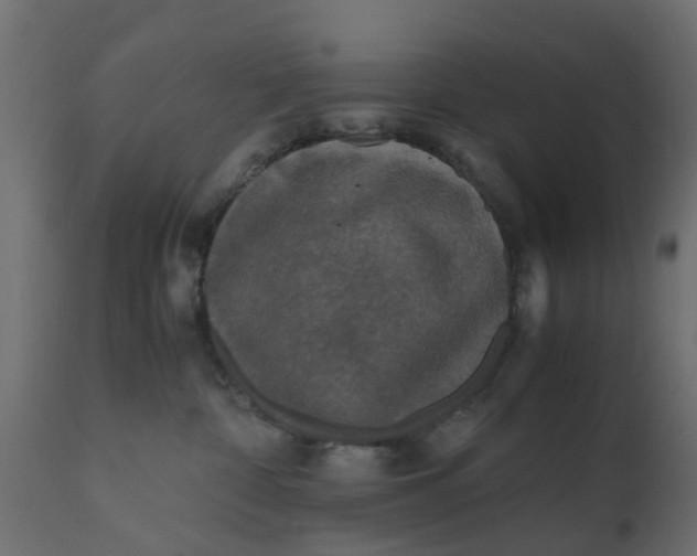 X0000110710332200906261437