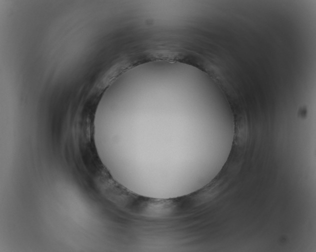 X0000110710334200906261437