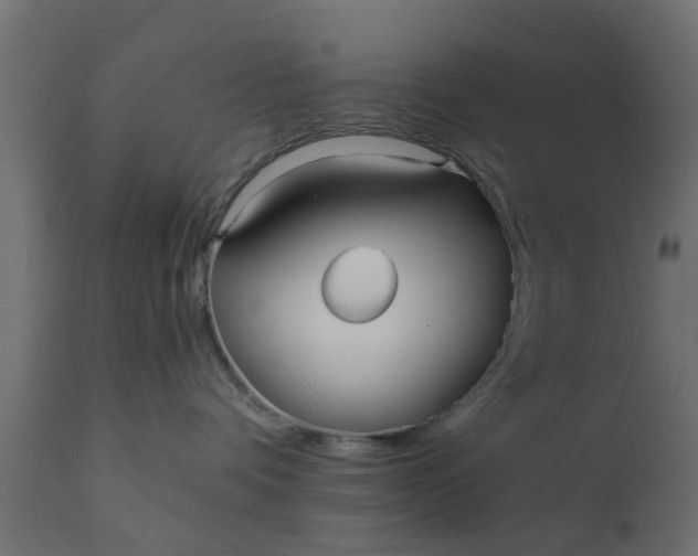 X0000110710336200906261437