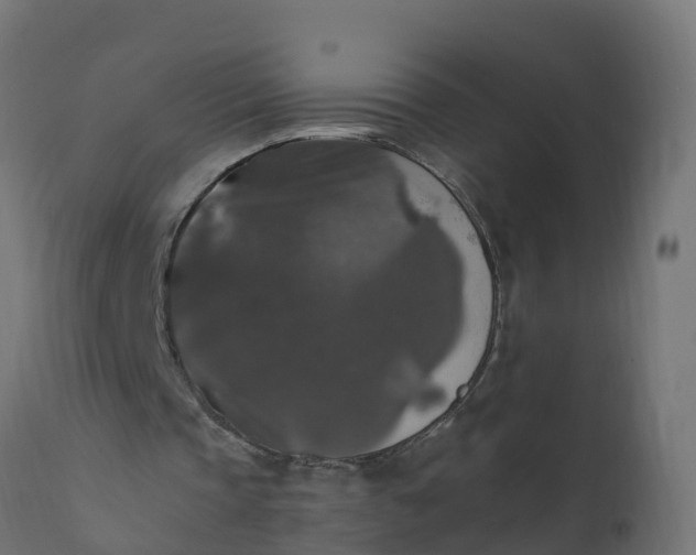 X0000110710337200906261436