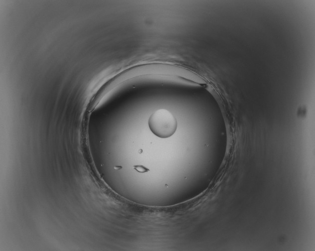 X0000110710340200906261436