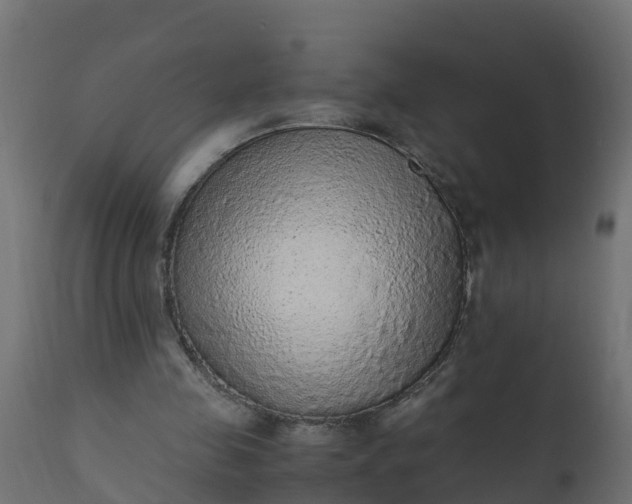 X0000110710341200906261437