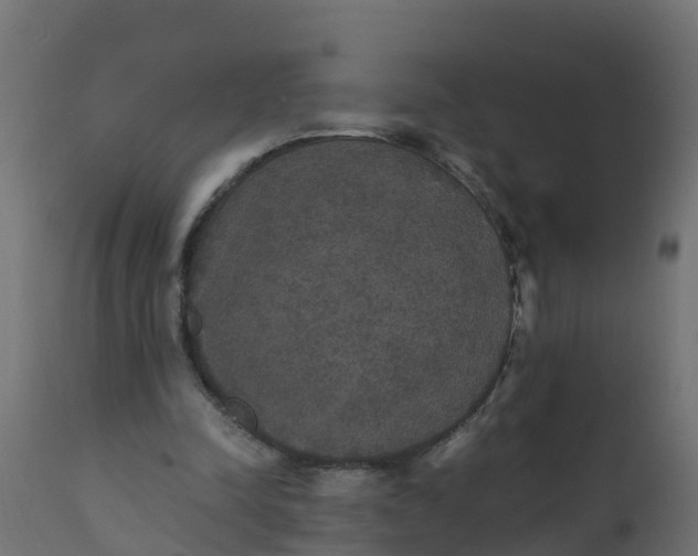 X0000110710342200906261437