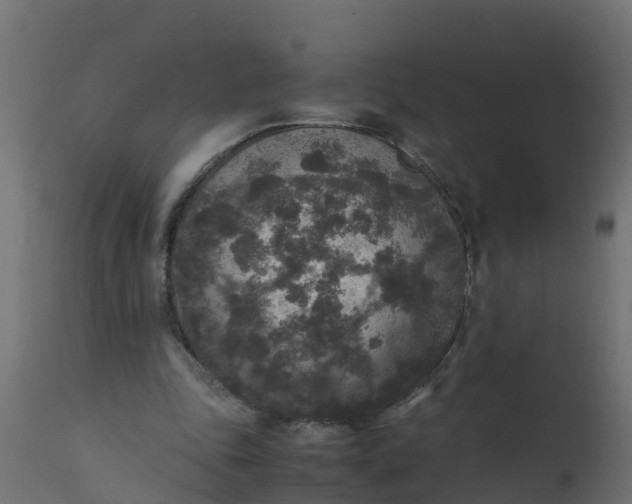 X0000110710343200906261437