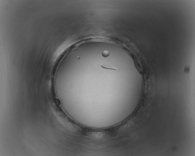 X0000110710344200906261437